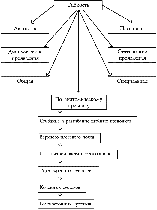 Гибкость в боевых искусствах - i_002.png