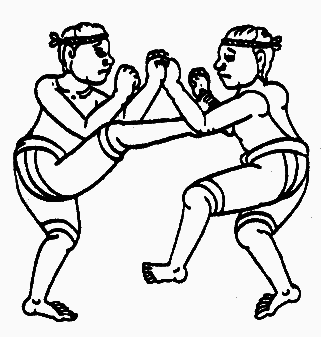 Таиландский бокс для начинающих - _8.png