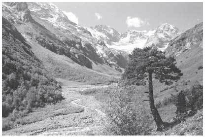 Чеченцы - i_005.jpg