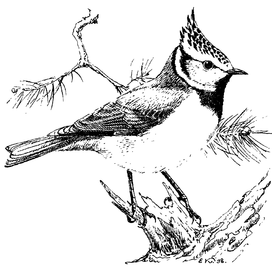 Я познаю мир. Живая природа от А до Я - image164.png