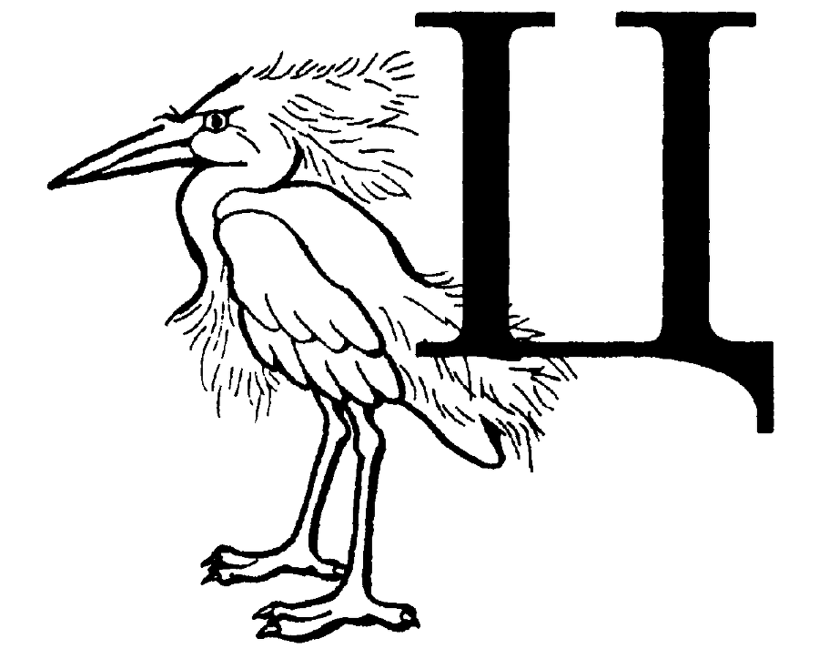 Я познаю мир. Живая природа от А до Я - image211.png