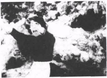 Память Тиресия: Интертекстуальность и кинематограф - img_8.jpeg