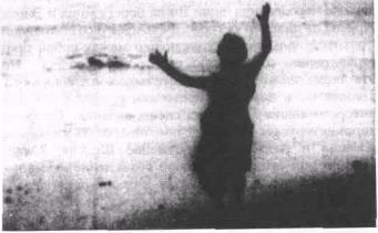 Память Тиресия: Интертекстуальность и кинематограф - img_9.jpeg