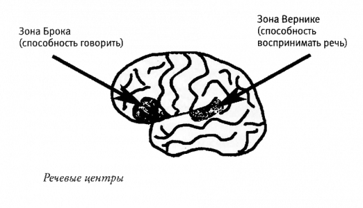 Мой инсульт был мне наукой. История собственной болезни, рассказанная нейробиологом - _121278.png_0