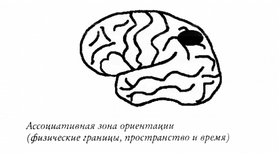 Мой инсульт был мне наукой. История собственной болезни, рассказанная нейробиологом - _121290.png