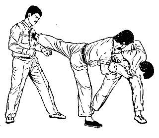 Техника самозащиты по школе "ЧОЙ" - _251.jpg_0