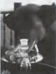 Знание-сила, 2004 № 02 (920) - img_42.jpg