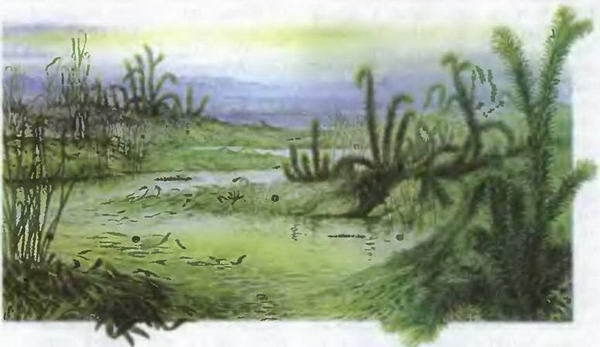 Знание-сила, 2004 № 02 (920) - img_49.jpg