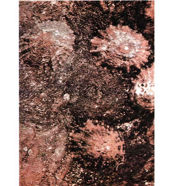 Мир океана. Море живет - i_042.jpg