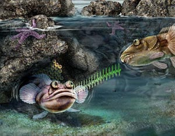 Этот загадочный подводный мир (СИ) - korkosh_139.jpg