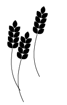 Пшеничные килограммы. Как углеводы разрушают тело и мозг - i_003.png