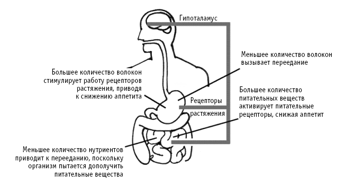 Питание как основа здоровья. Самый простой и естественный способ за 6 недель восстановить силы организма и сбросить лишний вес - i_008.png