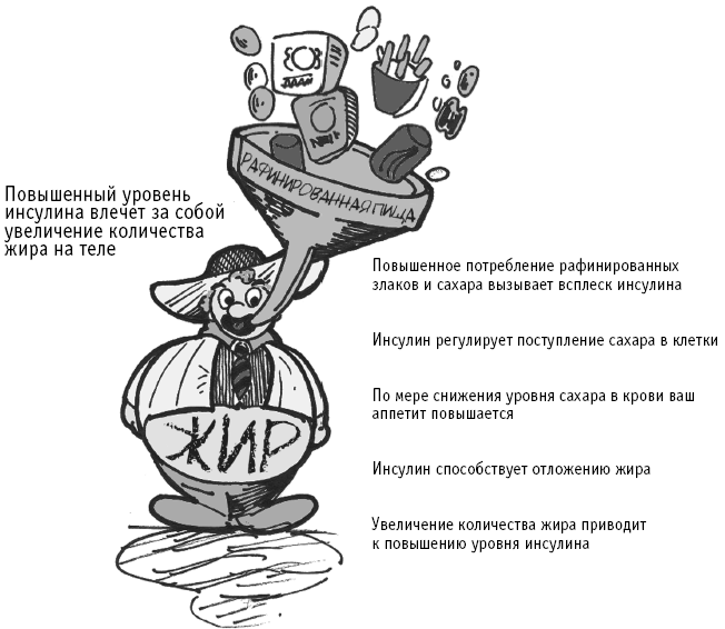 Питание как основа здоровья. Самый простой и естественный способ за 6 недель восстановить силы организма и сбросить лишний вес - i_012.png