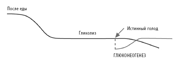 Питание как основа здоровья. Самый простой и естественный способ за 6 недель восстановить силы организма и сбросить лишний вес - i_047.png