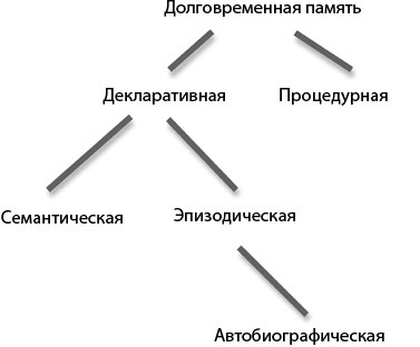 Мозг на пенсии. Научный взгляд на преклонный возраст - i_002.jpg