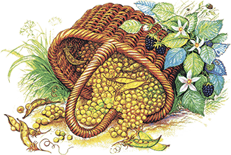 Все лучшие сказки русских писателей (сборник) - i_053.png