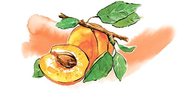 Наука красоты. Из чего на самом деле состоит косметика - i_004.jpg