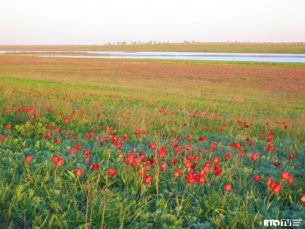 Этот загадочный подводный мир в наших родных морях - Азовском и Черном - image025.jpg