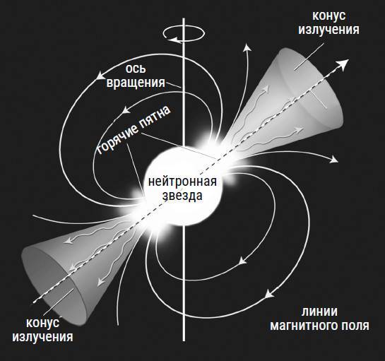 Был ли Бог математиком? Галопом по божественной Вселенной с калькулятором, штангенциркулем и таблицами Брадиса - i_067.jpg