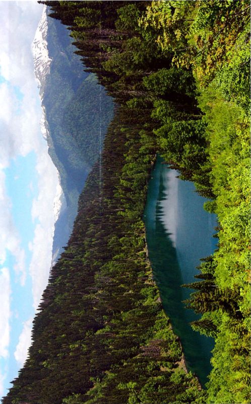 Птицы небесные. 1-2 части - i_002.jpg