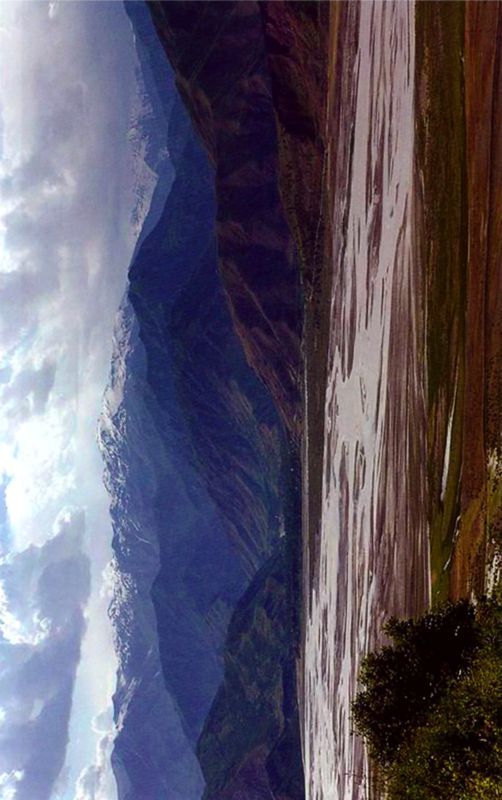 Птицы небесные. 1-2 части - i_004.jpg