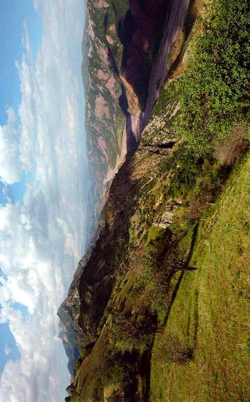 Птицы небесные. 1-2 части - i_005.jpg