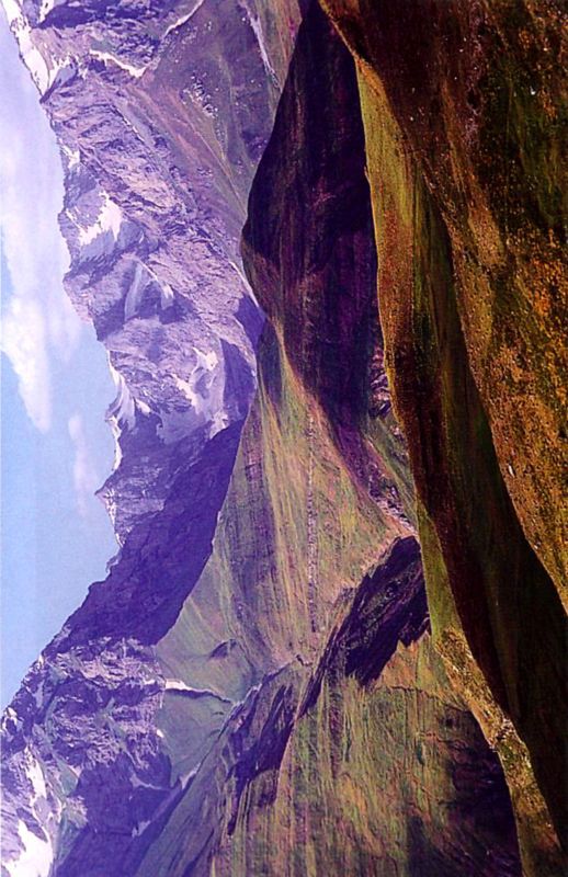 Птицы небесные. 1-2 части - i_006.jpg