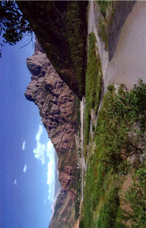 Птицы небесные. 1-2 части - i_007.jpg