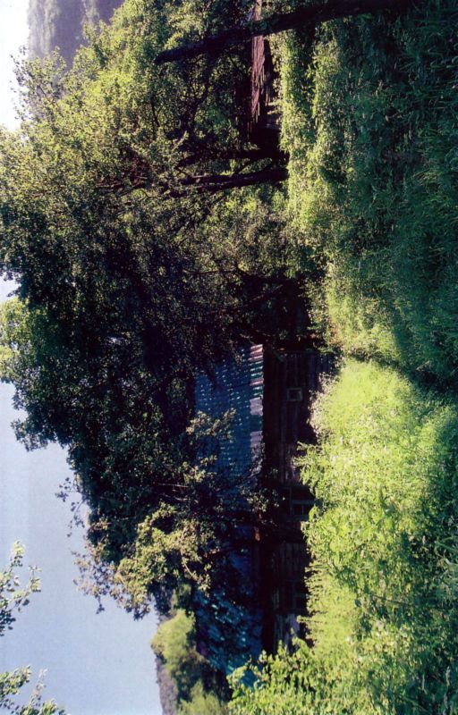 Птицы небесные. 1-2 части - i_019.jpg