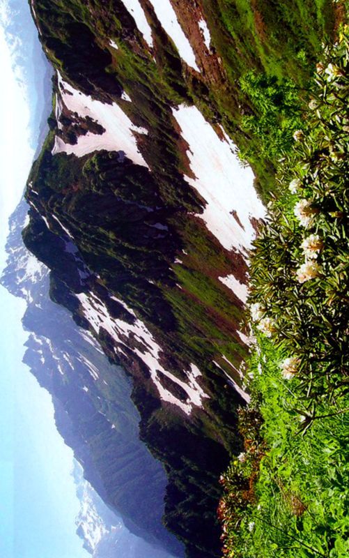 Птицы небесные. 1-2 части - i_024.jpg