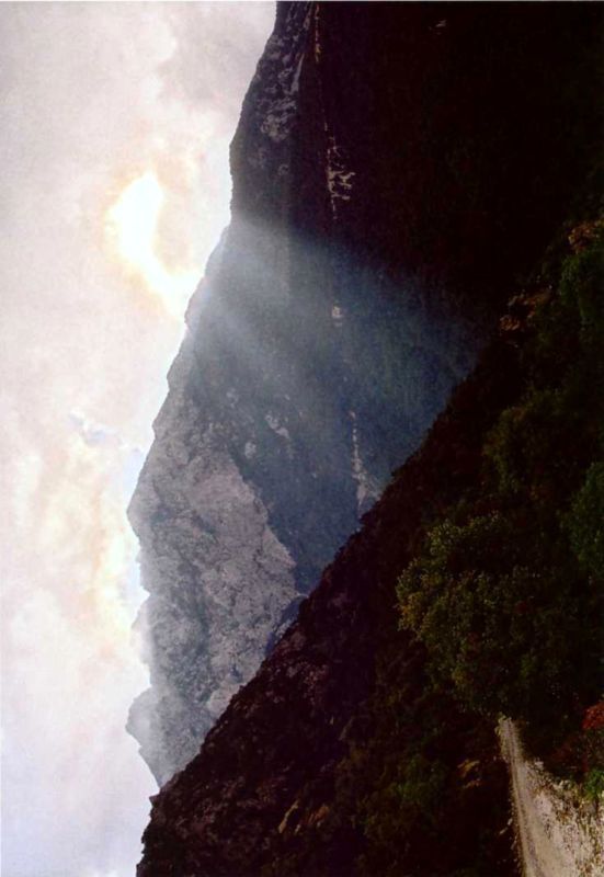 Птицы небесные. 3-4 части - i_033.jpg