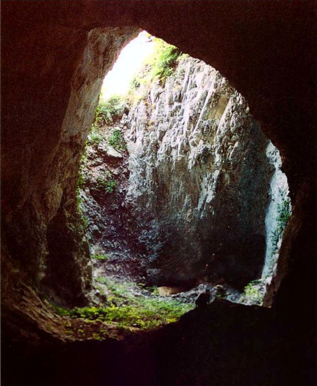 Птицы небесные. 3-4 части - i_034.jpg