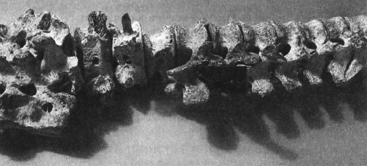 Прощай, нищета! Краткая экономическая история мира - _62.png