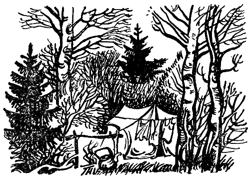 Дальние страны - _2.png