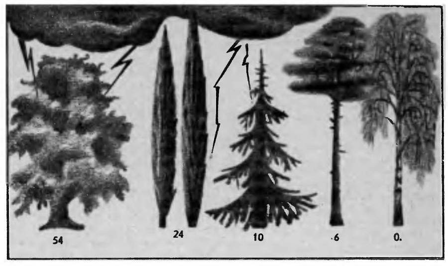 Когда появляются призраки - _40.jpg