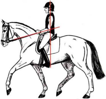 Езда на кончиках пальцев или управление лошадью в контакте с ней - i_003.jpg