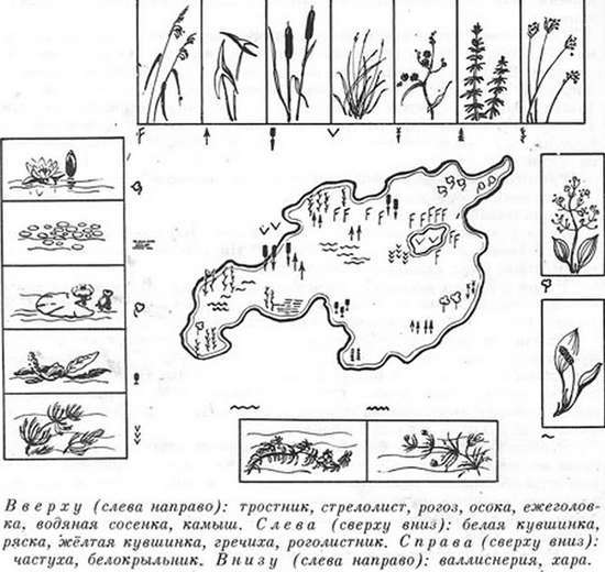 Подводная газета - _041.jpg