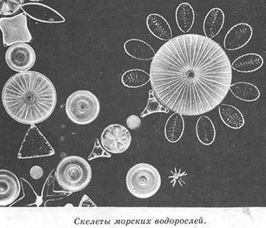 Подводная газета - _125.jpg