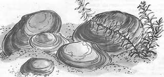 Подводная газета - _137.jpg