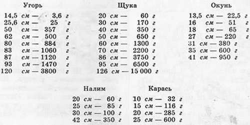 Подводная газета - _143.jpg