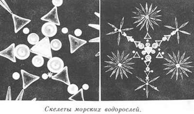 Подводная газета - _161.jpg