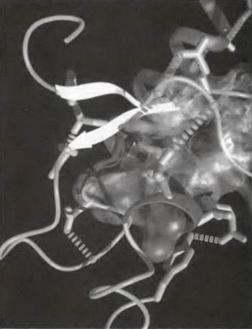 Знание - сила, 2004 № 05 (923) - img_19.jpg