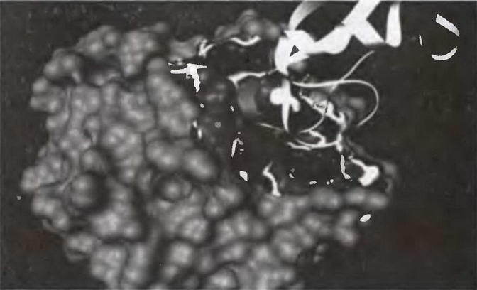 Знание - сила, 2004 № 05 (923) - img_20.jpg