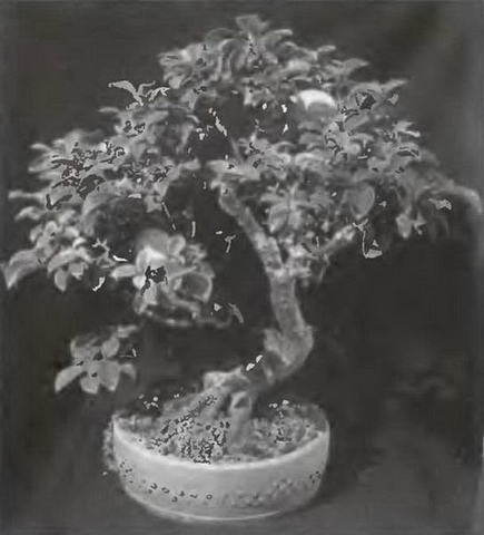 Знание - сила, 2004 № 05 (923) - img_92.jpg