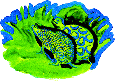 Как появились броненосцы (сборник) - i_019.png