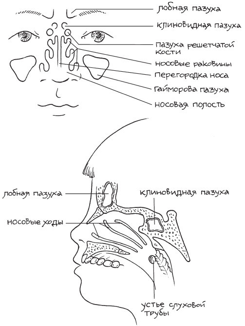 Книга от насморка. О детском насморке для мам и пап - i_003.jpg