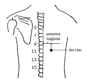 Большая энциклопедия целительных точек от 1000 болезней - i_023.jpg