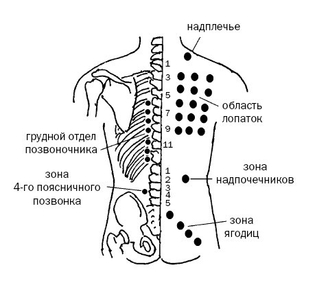 Большая энциклопедия целительных точек от 1000 болезней - i_028.jpg