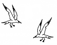 Костяной браслет - kb006.png_1