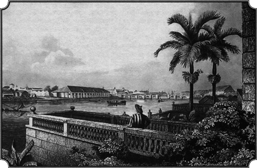 Путешествие по всему миру на «Буссоли» и «Астролябии» - i_162.png